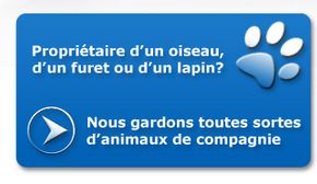 Propriétaire d’un oiseau, d’un furet ou d’un lapin?